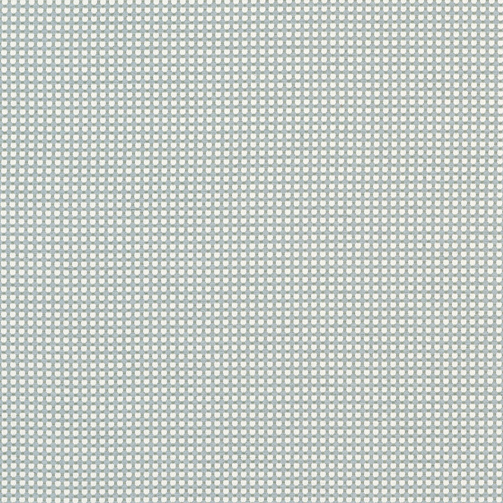 Darcy Powder W81917 by Thibaut Fabric Thibaut Fabric Darcy Powder W81917Fabric Companions </p><p>Repeat: V: 0.50" (1.27 cm) 54.00" (137.16 cm) - Fabric Carolina -