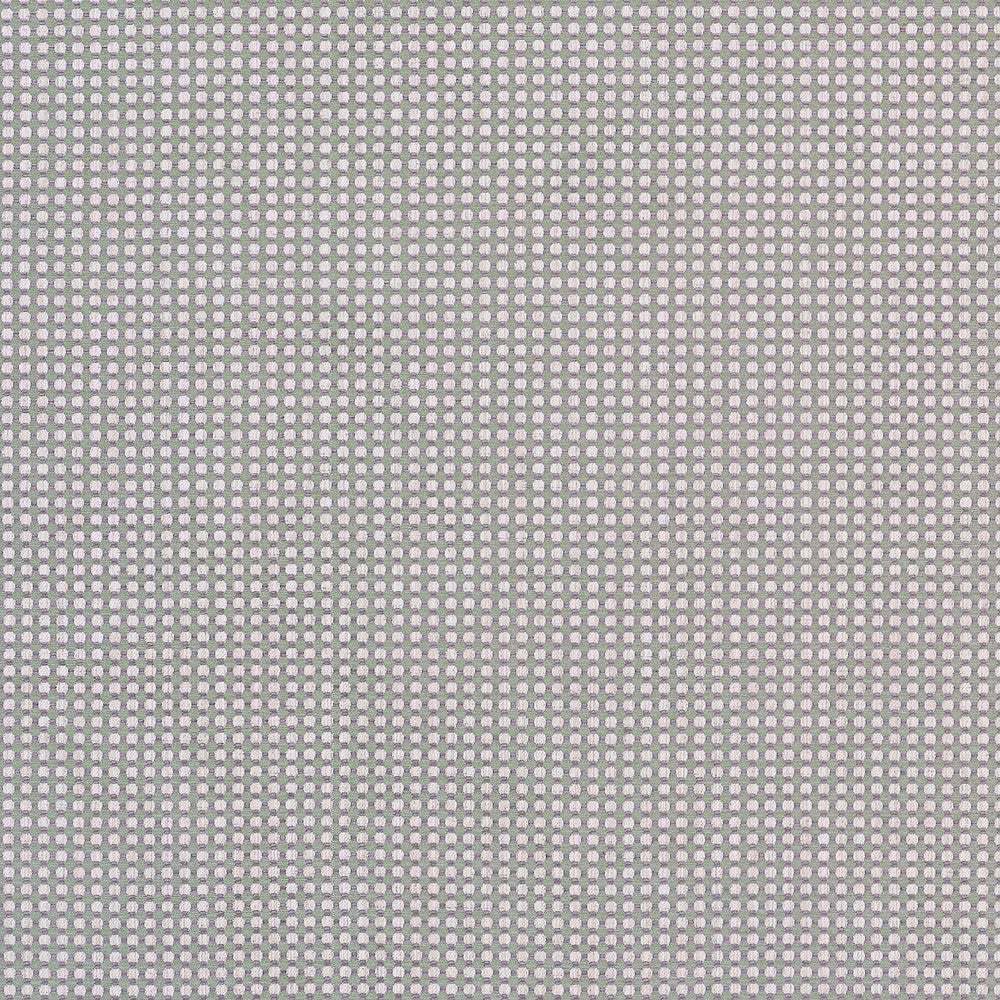 Darcy Loden W81919 by Thibaut Fabric Thibaut Fabric Darcy Loden W81919Fabric Companions </p><p>Repeat: V: 0.50" (1.27 cm) 54.00" (137.16 cm) - Fabric Carolina -