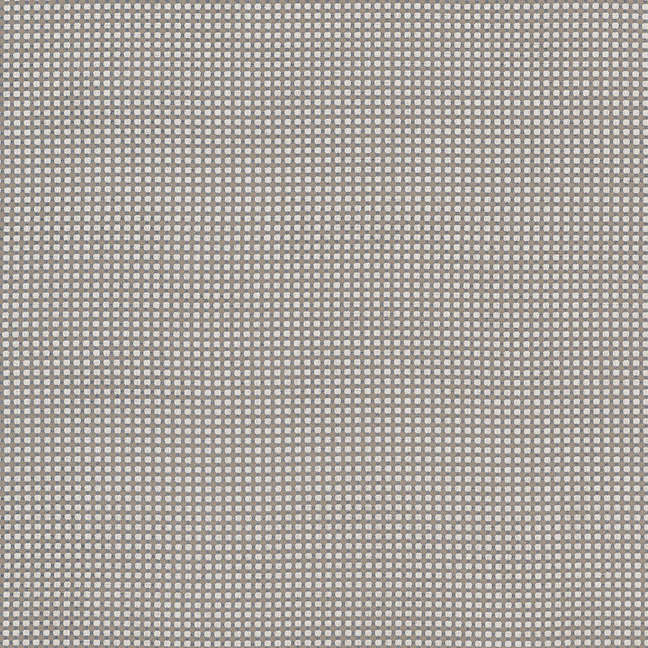 Darcy Ash W81921 by Thibaut Fabric Thibaut Fabric Darcy Ash W81921Fabric Companions </p><p>Repeat: V: 0.50" (1.27 cm) 54.00" (137.16 cm) - Fabric Carolina -