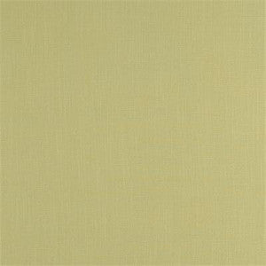 Lindow Parsley by Clarke And Clarke Fabric