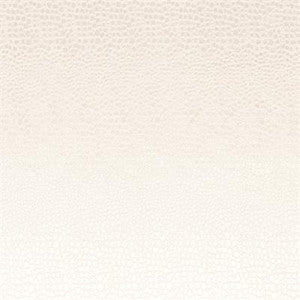 Pulse Pearl by Clarke And Clarke Fabric