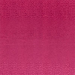 Pulse Sorbet by Clarke And Clarke Fabric