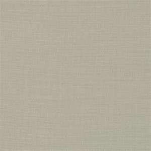Nantucket Lichen by Clarke And Clarke Fabric