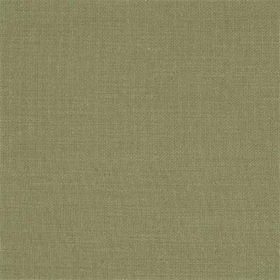 F0594 35 Nantucket Olive by Clarke and Clarke Fabric Nantucket 100% Cotton United Kingdom see sample Horizontal: - and Vertical: - 55 inches - Fabric Carolina -