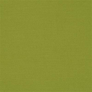 Nantucket Palm by Clarke And Clarke Fabric