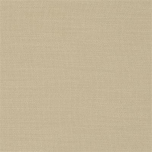Nantucket Sesame by Clarke And Clarke Fabric