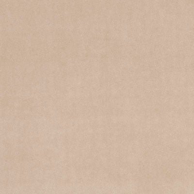 F0753 16 Alvar Taupe by Clarke and Clarke Fabric Gustavo 100% Polyester China see sample Horizontal: - and Vertical: - 56 inches - Fabric Carolina -