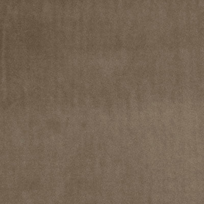 F0753 24 Alvar Bark by Clarke and Clarke Fabric Alvar 100% Polyester China see sample Horizontal: - and Vertical: - 56 inches - Fabric Carolina -