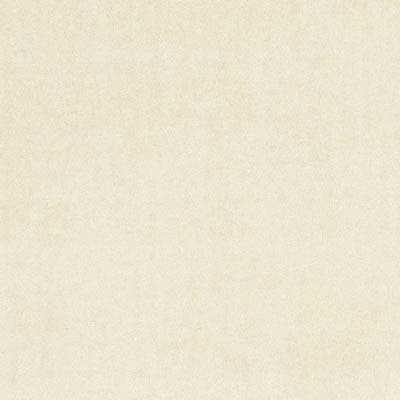 F0753 26 Alvar Birch by Clarke and Clarke Fabric Alvar 100% Polyester China see sample Horizontal: - and Vertical: - 56 inches - Fabric Carolina -