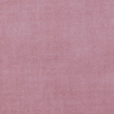 F0753 27 Alvar Blush by Clarke and Clarke Fabric Alvar 100% Polyester China see sample Horizontal: - and Vertical: - 56 inches - Fabric Carolina -