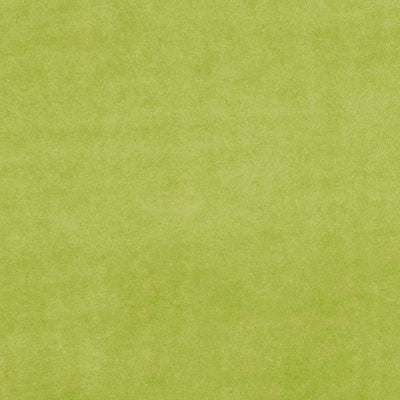 F0753 33 Alvar Citron by Clarke and Clarke Fabric Alvar 100% Polyester China see sample Horizontal: - and Vertical: - 56 inches - Fabric Carolina -