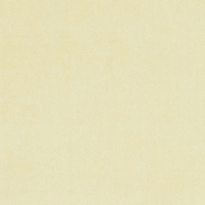 F0753 34 Alvar Cream by Clarke and Clarke Fabric Alvar 100% Polyester China see sample Horizontal: - and Vertical: - 56 inches - Fabric Carolina -