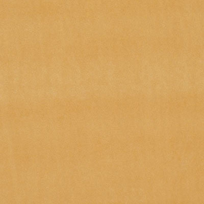 F0753 39 Alvar Gold by Clarke and Clarke Fabric Alvar 100% Polyester China see sample Horizontal: - and Vertical: - 56 inches - Fabric Carolina -