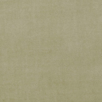 F0753 46 Alvar Sage by Clarke and Clarke Fabric Alvar 100% Polyester China see sample Horizontal: - and Vertical: - 56 inches - Fabric Carolina -