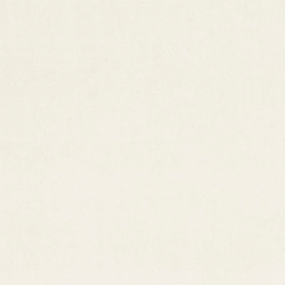 F0753 47 Alvar Snow by Clarke and Clarke Fabric Alvar 100% Polyester China see sample Horizontal: - and Vertical: - 56 inches - Fabric Carolina -