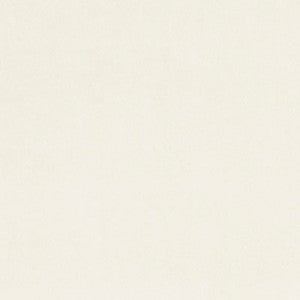 Alvar Snow by Clarke And Clarke Fabric