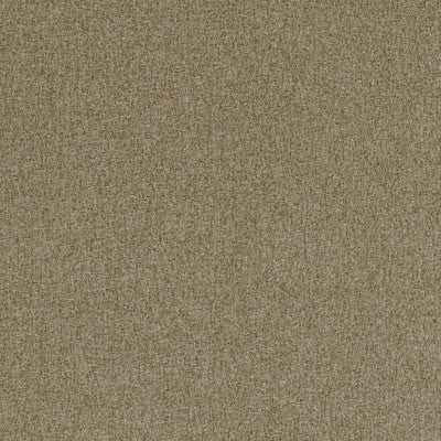 F0848 19 Highlander Mocha by Clarke and Clarke Fabric Highlander 100% Polyester CHINA see sample Horizontal: - and Vertical: - 55 inches - Fabric Carolina -