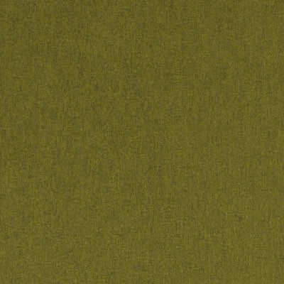 F0848 22 Highlander Olive by Clarke and Clarke Fabric Highlander 100% Polyester CHINA see sample Horizontal: - and Vertical: - 55 inches - Fabric Carolina -