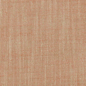 Biarritz Cinnamon by Clarke And Clarke Fabric
