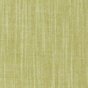 Biarritz Citrus by Clarke And Clarke Fabric