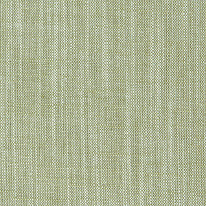 Biarritz Eucalyptus by Clarke And Clarke Fabric