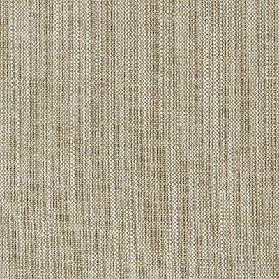 F0965 19 Biarritz Hazel by Clarke and Clarke Fabric C&amp;C Contract II 70% Viscose / 30% Linen INDIA see sample Horizontal: - and Vertical: - 55 inches - Fabric Carolina -