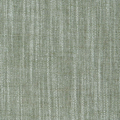 F0965 30 Biarritz Moss by Clarke and Clarke Fabric C&amp;C Contract II 70% Viscose / 30% Linen INDIA see sample Horizontal: - and Vertical: - 55 inches - Fabric Carolina -