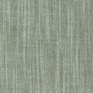 Biarritz Moss by Clarke And Clarke Fabric