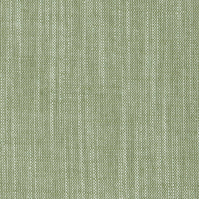 F0965 36 Biarritz Parsley by Clarke and Clarke Fabric C&amp;C Contract II 70% Viscose / 30% Linen INDIA see sample Horizontal: - and Vertical: - 55 inches - Fabric Carolina -