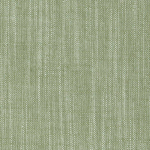 Biarritz Parsley by Clarke And Clarke Fabric