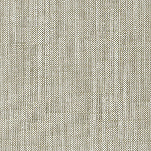 Biarritz Putty by Clarke And Clarke Fabric