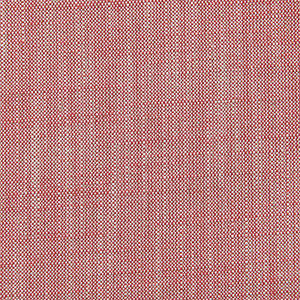 Biarritz Raspberry by Clarke And Clarke Fabric