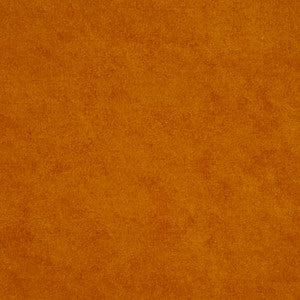 Regal Mandarin by Clarke And Clarke Fabric