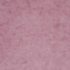 Regal Rose by Clarke And Clarke Fabric