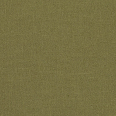 F1076 23 Hudson Pesto by Clarke and Clarke Fabric Hudson 100% Polyester China see sample Horizontal: - and Vertical: - 110 inches - Fabric Carolina -
