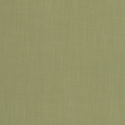 F1076 27 Hudson Sage by Clarke and Clarke Fabric Hudson 100% Polyester China see sample Horizontal: - and Vertical: - 110 inches - Fabric Carolina -