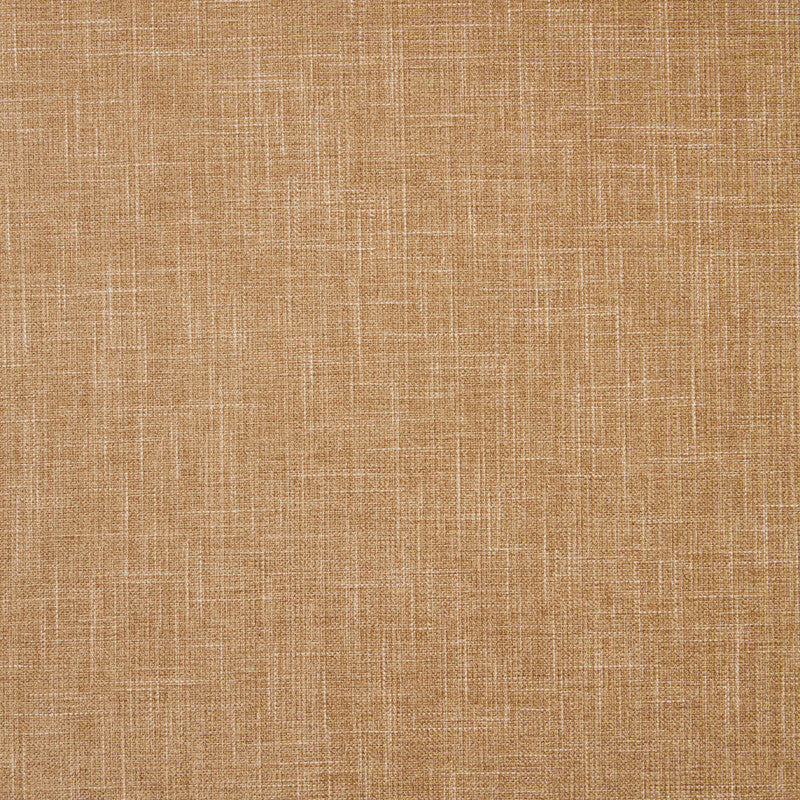 F1098 25 Albany Pecan by Clarke and Clarke Fabric - 78% Polyester, 22% Cotton INDIA see sample Horizontal: - and Vertical: - 55 inches - Fabric Carolina -