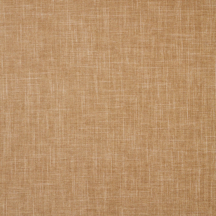 F1098 25 Albany Pecan by Clarke and Clarke Fabric - 78% Polyester, 22% Cotton INDIA see sample Horizontal: - and Vertical: - 55 inches - Fabric Carolina -