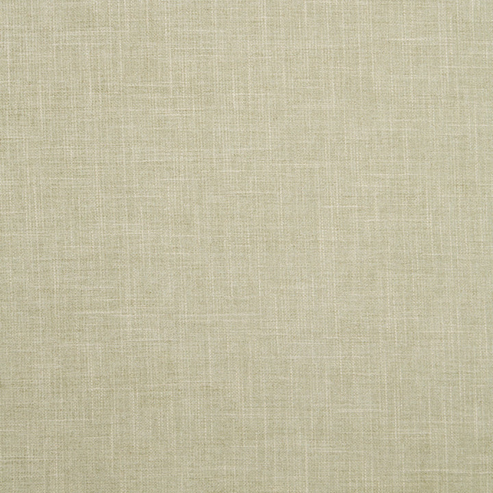 F1098 27 Albany Sage by Clarke and Clarke Fabric Albany &amp; Moray 78% Polyester / 22% Cotton INDIA see sample Horizontal: - and Vertical: - 55 inches - Fabric Carolina -