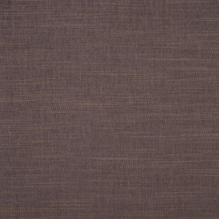 F1099 12 Moray Espresso by Clarke and Clarke Fabric Albany &amp; Moray 64% Polyester / 12% Cotton / 12% Linen / 12% Viscose INDIA see sample Horizontal: - and Vertical: - 55 inches - Fabric Carolina -