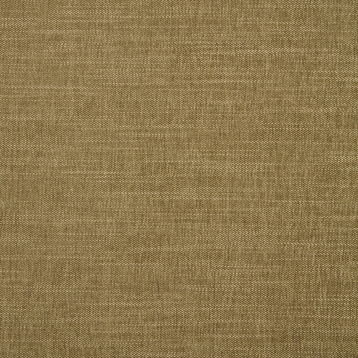 F1099 22 Moray Moss by Clarke and Clarke Fabric Albany &amp; Moray 64% Polyester / 12% Cotton / 12% Linen / 12% Viscose INDIA see sample Horizontal: - and Vertical: - 55 inches - Fabric Carolina -