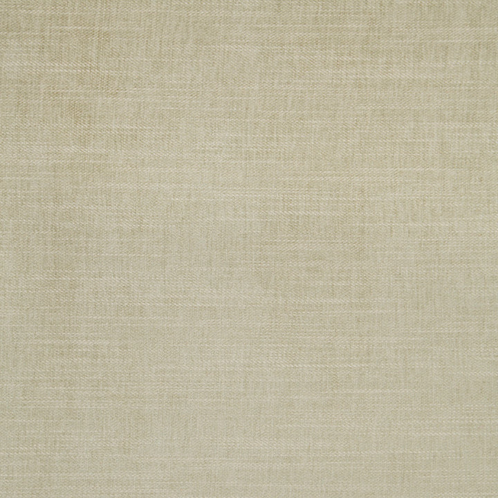 F1099 27 Moray Sage by Clarke and Clarke Fabric Albany &amp; Moray 64% Polyester / 12% Cotton / 12% Linen / 12% Viscose INDIA see sample Horizontal: - and Vertical: - 55 inches - Fabric Carolina -