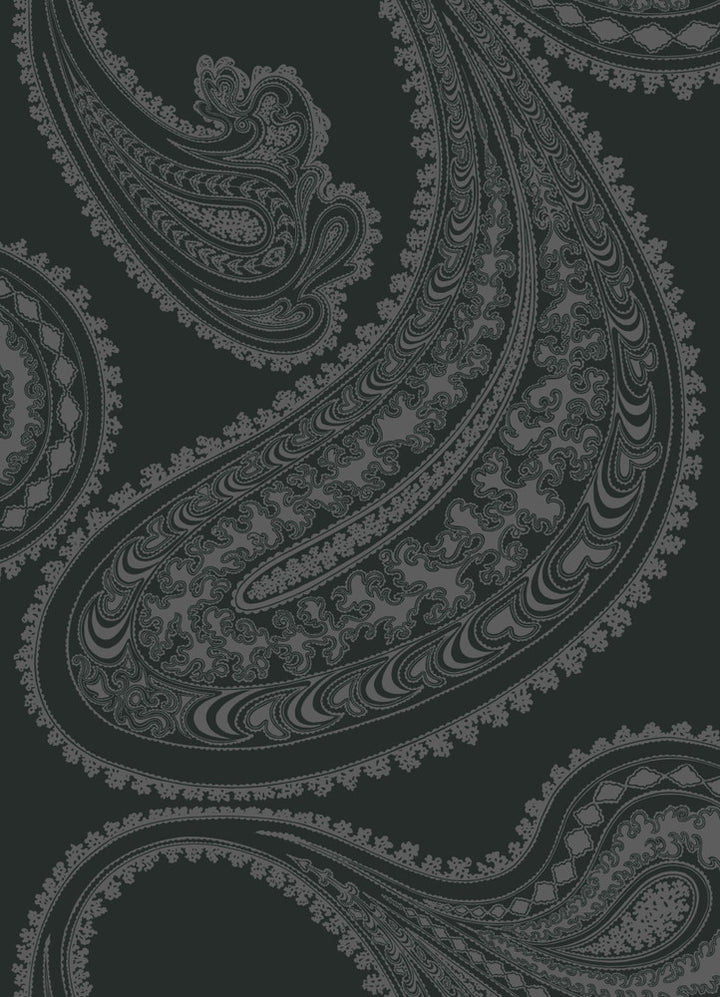 Rajapur Char Blk by Cole & Son Fabric