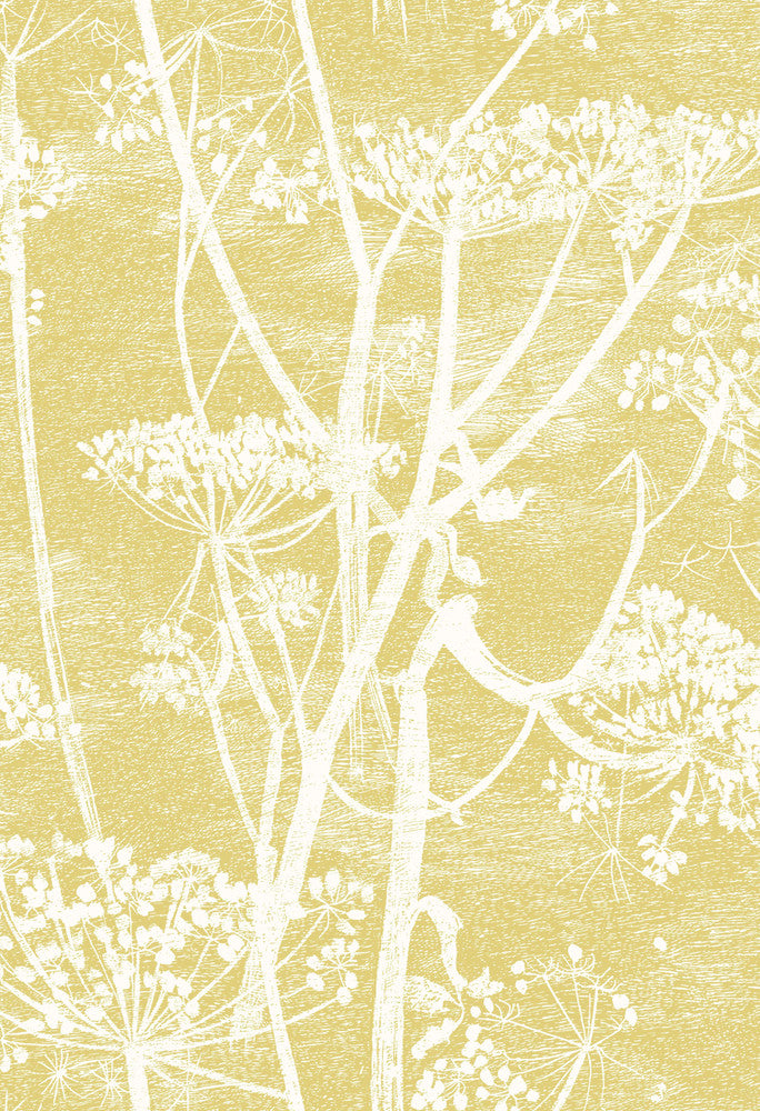 Cow Parsley Wht & Chartre by Cole & Son Fabric