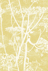 Cow Parsley Wht & Chartre by Cole & Son Fabric