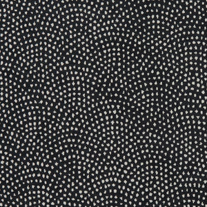 Nebula Noir by Clarke And Clarke Fabric