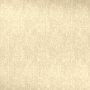 Metallica Light Gold by Clarke And Clarke Fabric