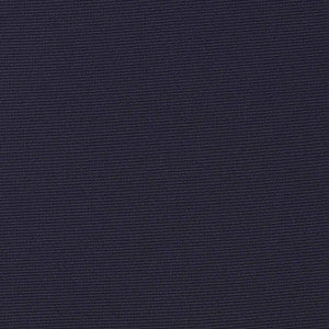 82010 Admiral Navy by Sunbrella Fabric