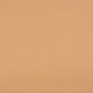 10200-0007 Capriccio Toast by Sunbrella Fabric