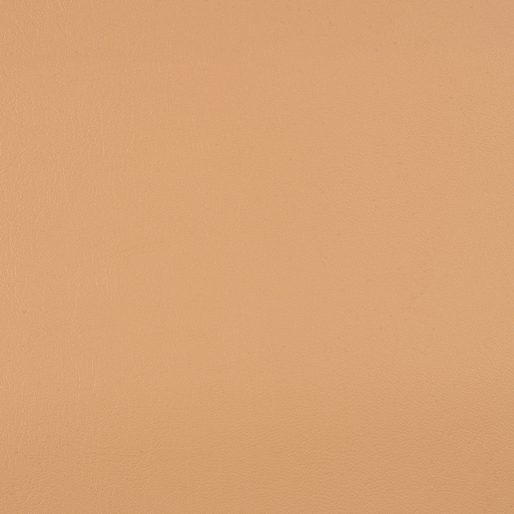 10200-0007 Capriccio Toast by Sunbrella Fabric Sunbrella Horizon Capriccio Marine Upholstery Sunbrella® Engineered Leather USA or Imported 5-Year, 3-Year Microbial Pink Staining Horizontal: and Vertical: 54 in. - Fabric Carolina -